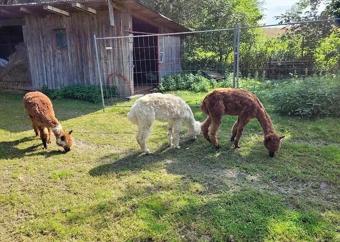 Barborka אכסניה